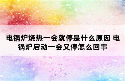 电锅炉烧热一会就停是什么原因 电锅炉启动一会又停怎么回事